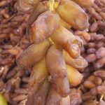 5d22d716-f323-480a-a106-24adfed2fb2c