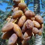 a1d09699-e8e4-4da8-a302-a08c5533ad5f