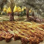 e2060d9c-e5d2-412f-9c3f-4db32eff539b