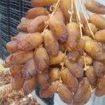 f733abf0-8d3f-4dda-adb4-ed095cffdfb9